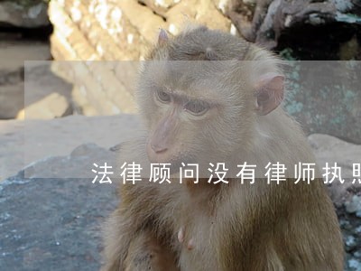 法律顾问没有律师执照 法律顾问没有律师执照