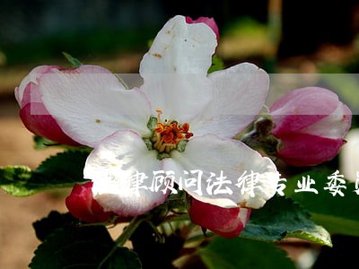 法律顾问法律专业委员会 法律顾问法律专业委员会