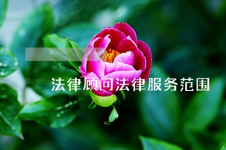 法律顾问法律服务范围