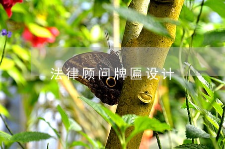 法律顾问牌匾设计 法律顾问牌匾设计