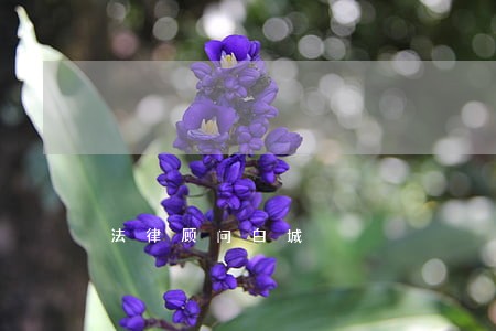 法律顾问白城 法律顾问白城