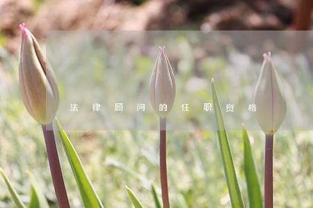 法律顾问的任职资格 法律顾问的任职资格