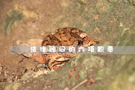 法律顾问的六项职责 法律顾问的六项职责