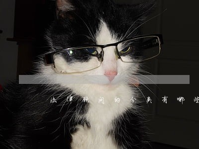 法律顾问的分类有哪些 法律顾问的分类有哪些