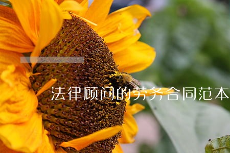法律顾问的劳务合同范本 法律顾问的劳务合同范本