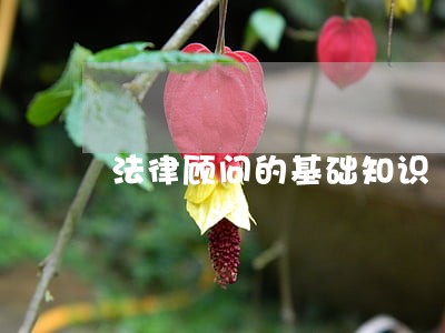 法律顾问的基础知识 法律顾问的基础知识