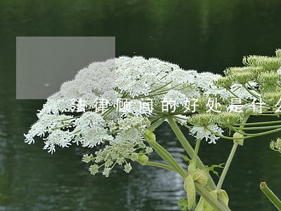 法律顾问的好处是什么 法律顾问的好处是什么