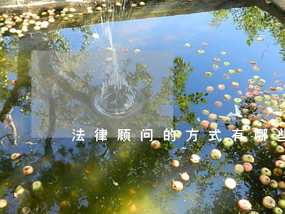 法律顾问的方式有哪些