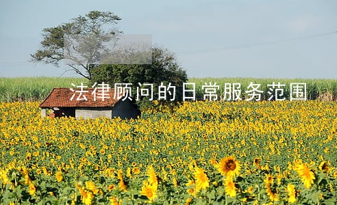 法律顾问的日常服务范围 法律顾问的日常服务范围