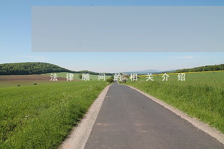 法律顾问的相关介绍 法律顾问的相关介绍