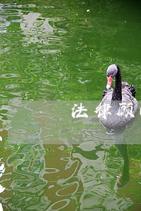 法律顾问相关问题调研