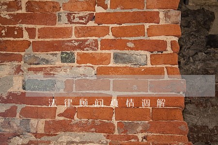 法律顾问真情调解 法律顾问真情调解