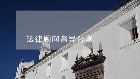 法律顾问督导台账 法律顾问督导台账