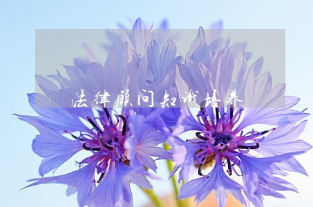 法律顾问知识培养 法律顾问知识培养