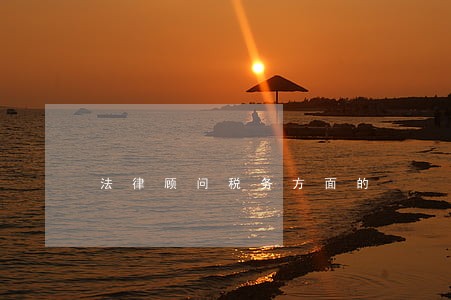 法律顾问税务方面的 法律顾问税务方面的