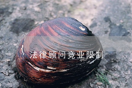法律顾问竞业限制 法律顾问竞业限制