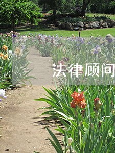法律顾问等级评审 法律顾问等级评审