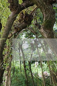 法律顾问算什么职位 法律顾问算什么职位