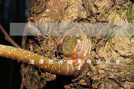 法律顾问经费申请报告 法律顾问经费申请报告