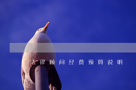 法律顾问经费预算说明 法律顾问经费预算说明