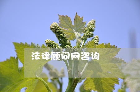 法律顾问网咨询 法律顾问网咨询
