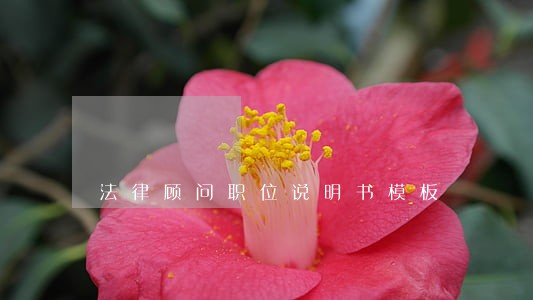 法律顾问职位说明书模板