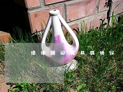 法律顾问聘书或协议 法律顾问聘书或协议