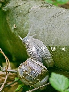 法律顾问聘用协议书 法律顾问聘用协议书