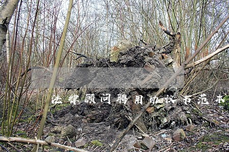 法律顾问聘用协议书范本 法律顾问聘用协议书范本