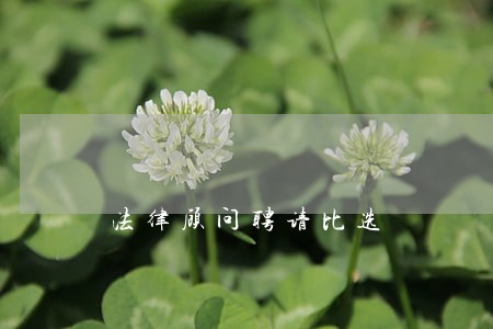 法律顾问聘请比选 法律顾问聘请比选