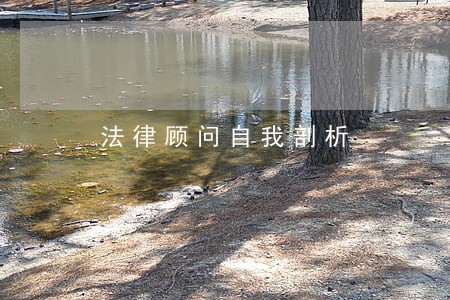 法律顾问自我剖析 法律顾问自我剖析