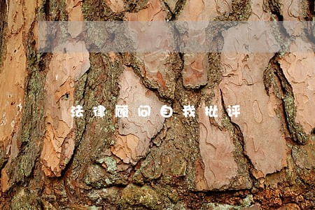 法律顾问自我批评 法律顾问自我批评
