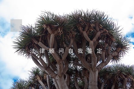 法律顾问自我鉴定 法律顾问自我鉴定