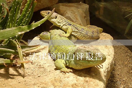 法律顾问自评报告 法律顾问自评报告