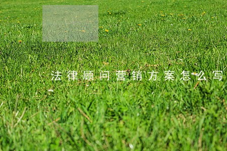 法律顾问营销方案怎么写 法律顾问营销方案怎么写