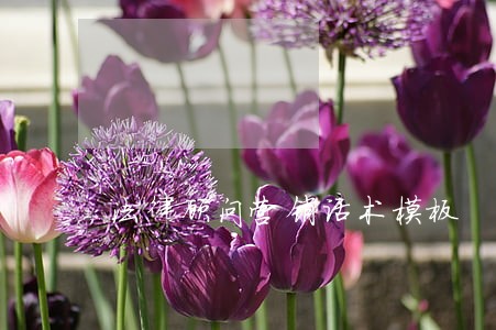 法律顾问营销话术模板 法律顾问营销话术模板