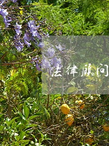 法律顾问要做哪些工作 法律顾问要做哪些工作