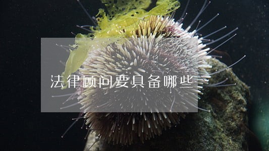 法律顾问要具备哪些
