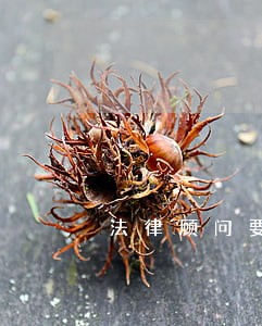 法律顾问要账收费标准 法律顾问要账收费标准