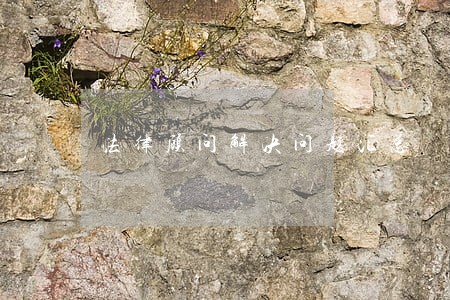 法律顾问解决问题汇总 法律顾问解决问题汇总