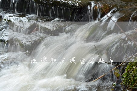 法律顾问调查书版本
