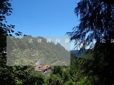 法律顾问调研工作会议 法律顾问调研工作会议