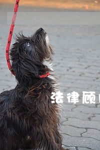 法律顾问费做什么科目 法律顾问费做什么科目