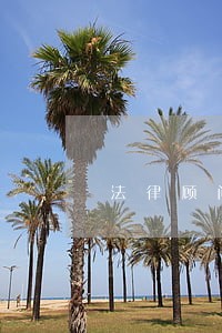 法律顾问费大约多少 法律顾问费大约多少