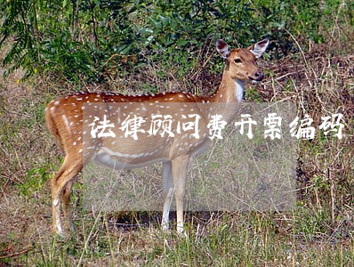 法律顾问费开票编码 法律顾问费开票编码