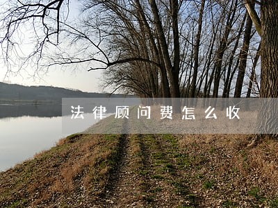 法律顾问费怎么收 法律顾问费怎么收
