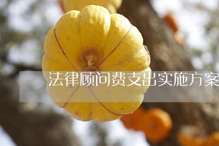 法律顾问费支出实施方案 法律顾问费支出实施方案