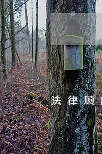 法律顾问费用增加 法律顾问费用增加