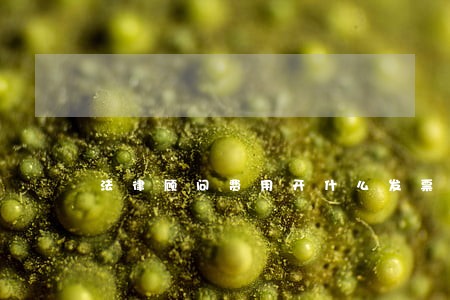 法律顾问费用开什么发票 法律顾问费用开什么发票