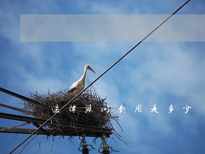 法律顾问费用是多少 法律顾问费用是多少